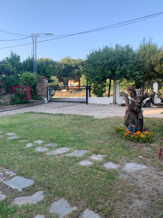 House With Garden